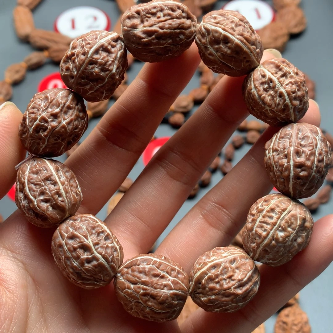 核桃81东北秋子小枣红皮