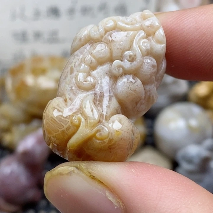 颈饰未镶嵌硅化珊瑚（珊瑚玉）小