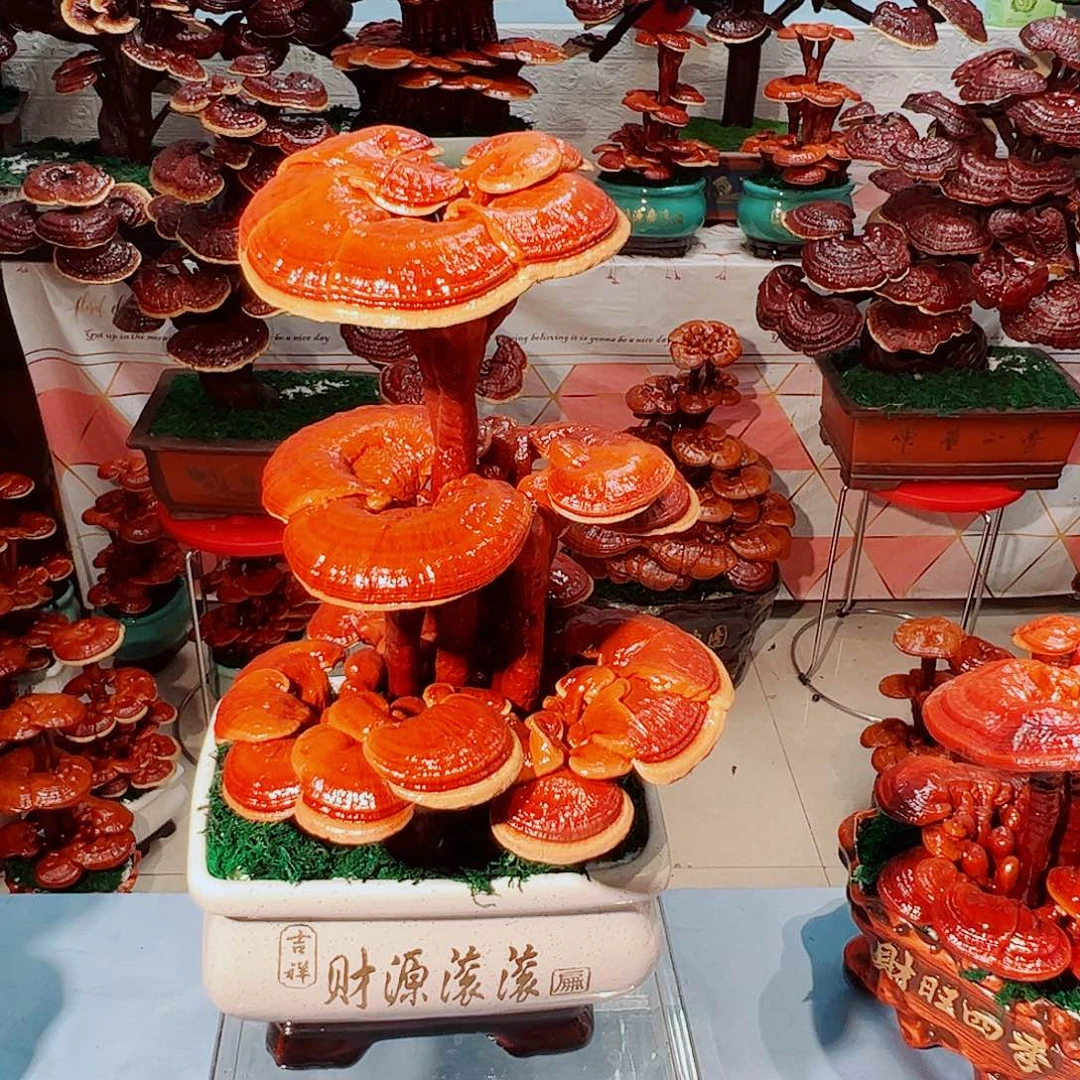 无花朵吉祥灵芝结缘阁