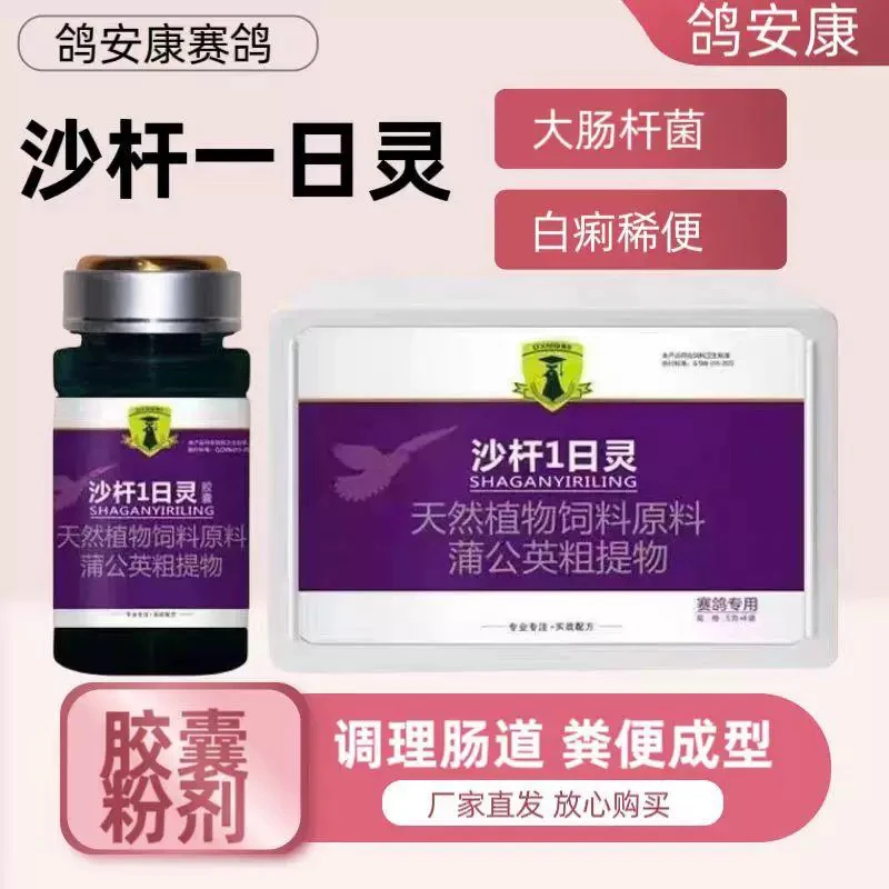 戈博士鸽药沙杆一日灵粉剂大肠杆菌沙门氏菌黄白绿稀水便赛鸽信鸽