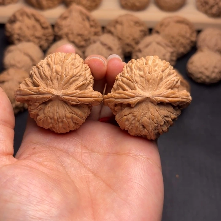 文玩核桃把件44白狮子