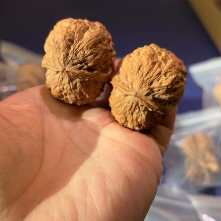 文玩核桃吊坠琵琶蟾王