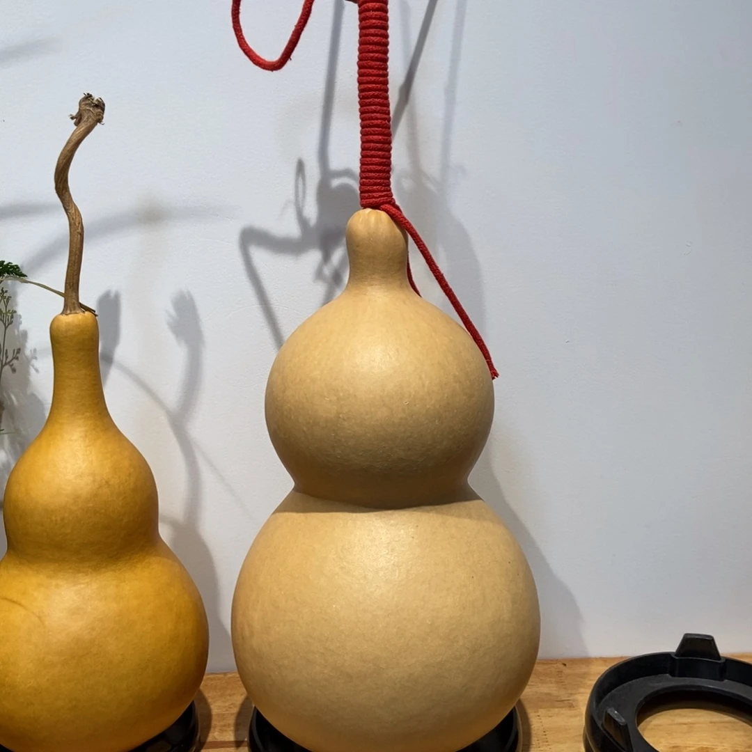 Y***E哈哈哈哈哈哈哈哈哈哈哈