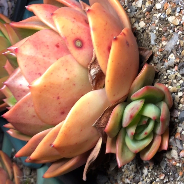 134/////////////////