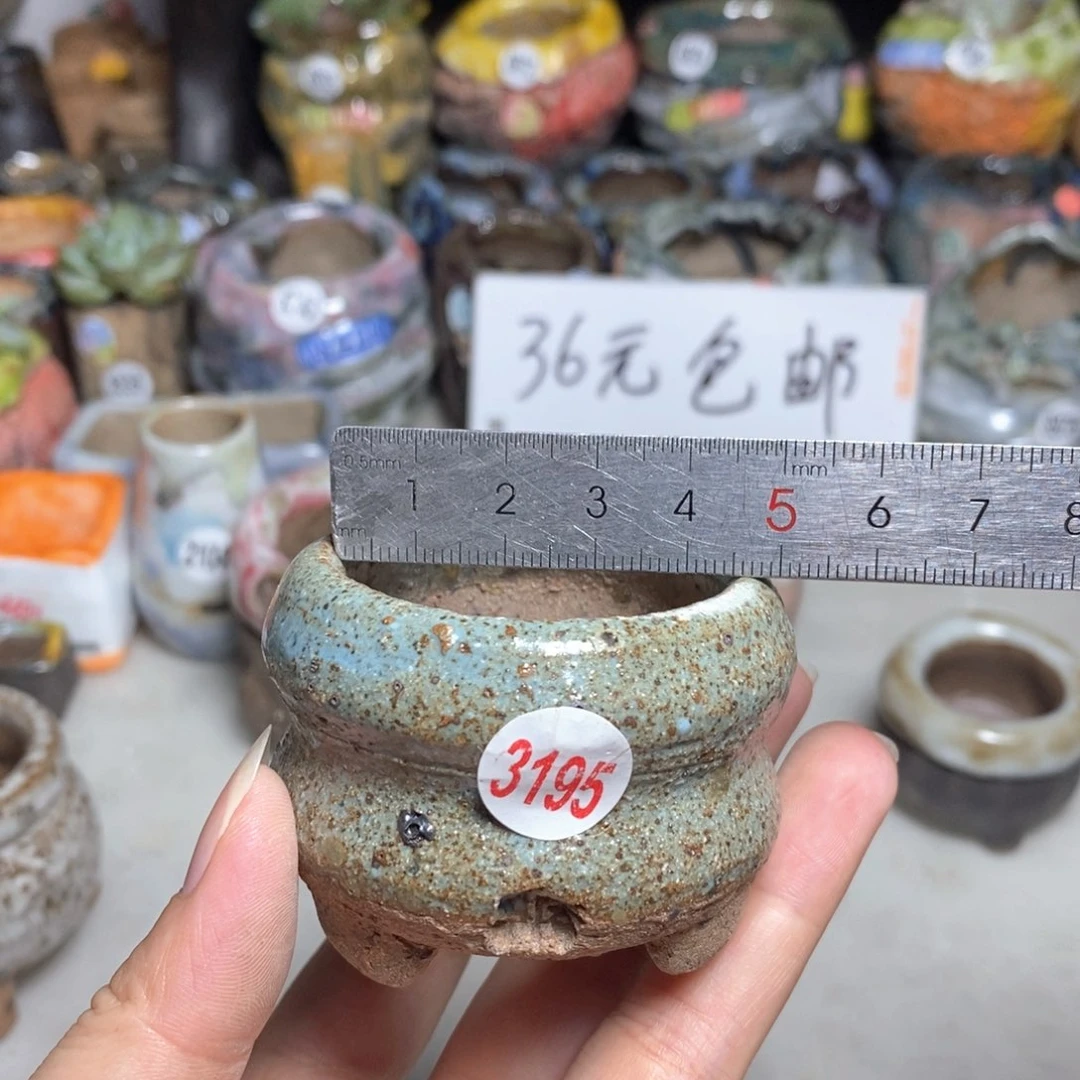 拍3送一个9.9拍5送同款