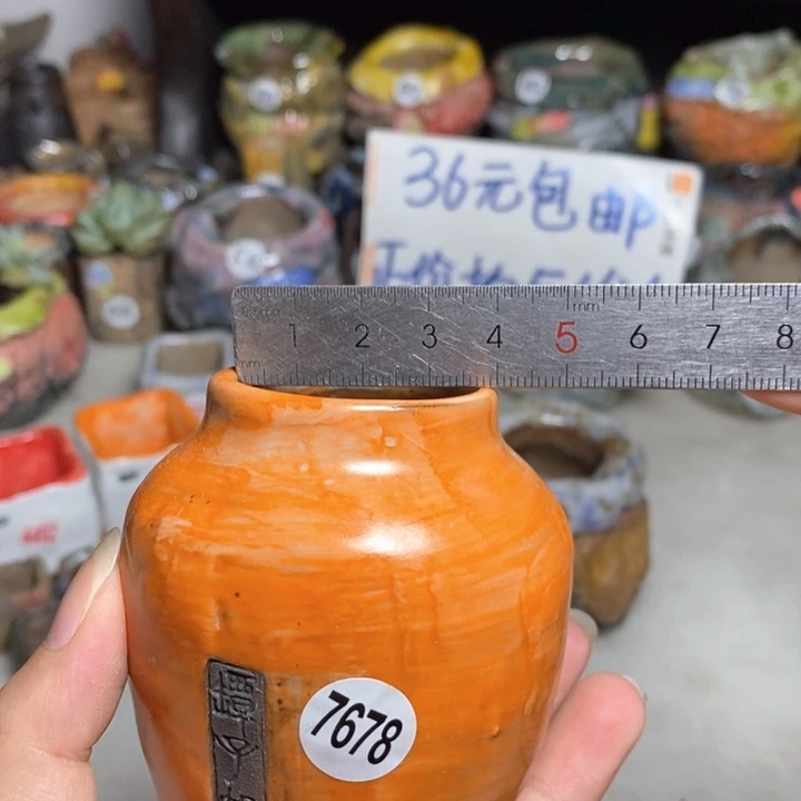 拍3送一个小礼物