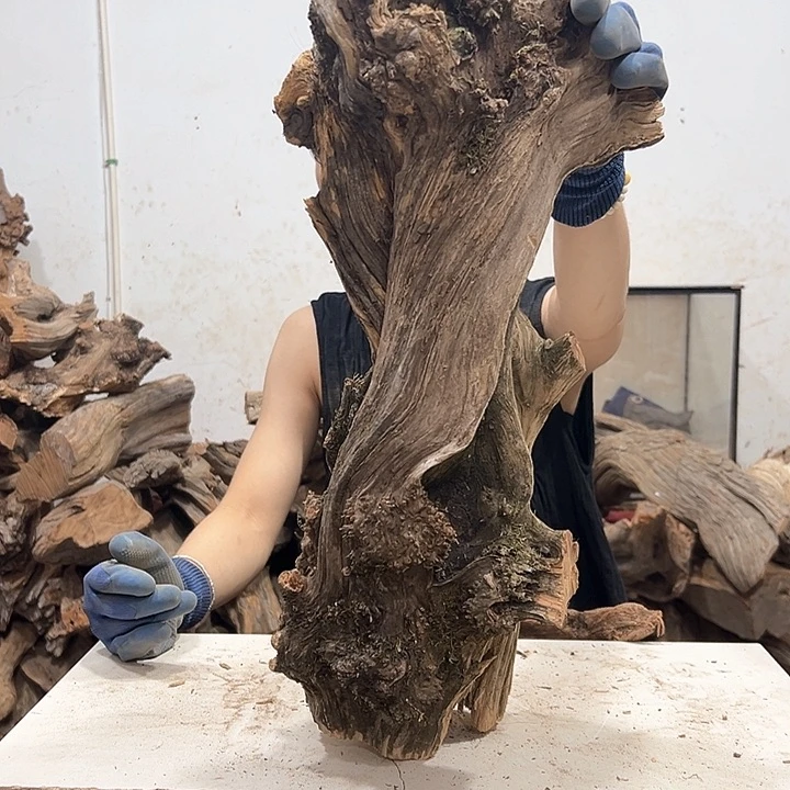 柏木太****]我们都是好孩子啊我