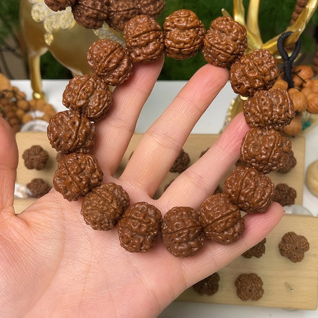 金刚菩提把件22矮桩绝情帝王花