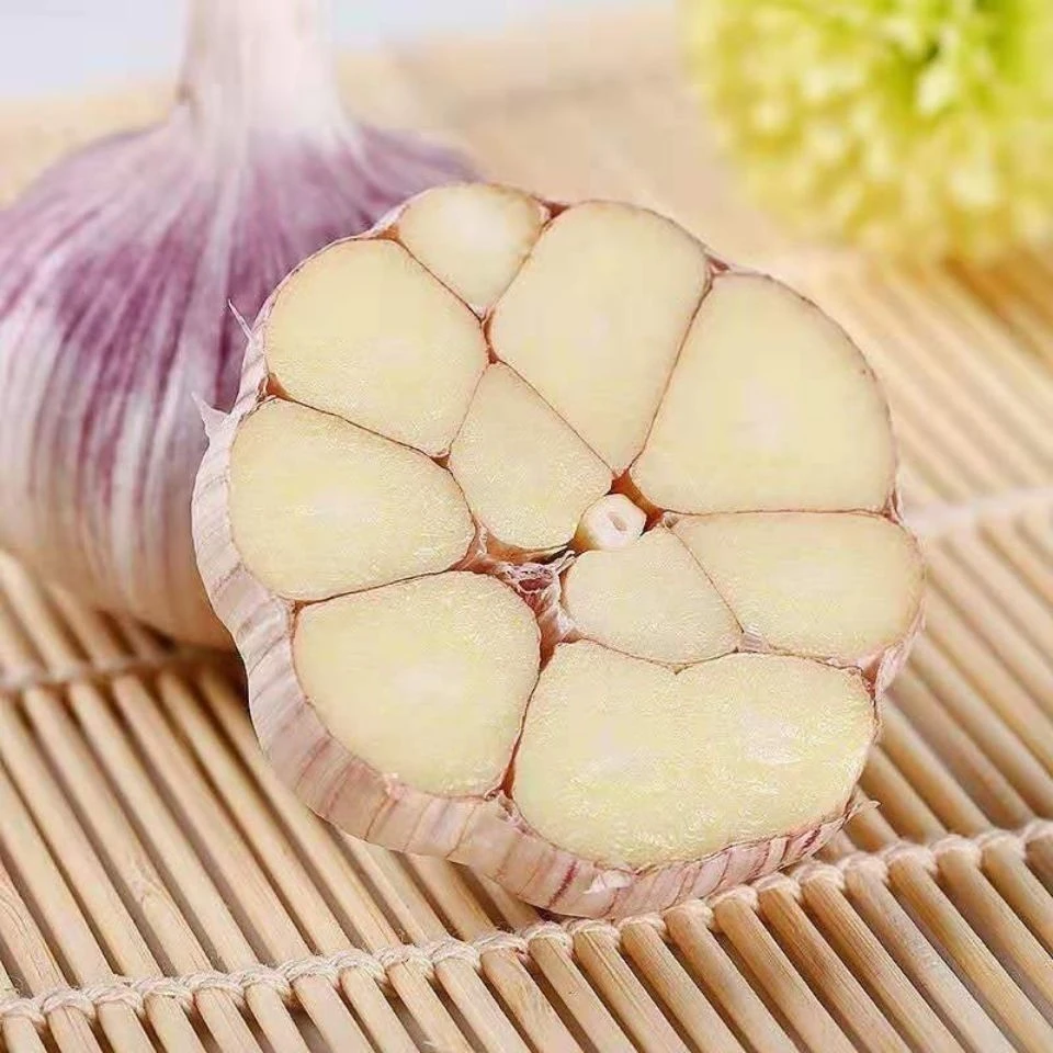 【十足干】大蒜金乡紫白皮大蒜头干蒜批发新鲜便宜特大果多瓣蒜包邮