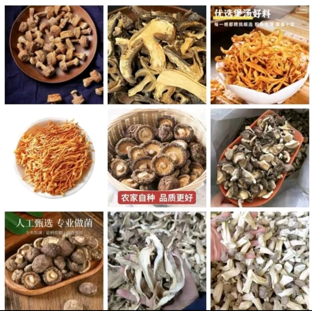 C010 高端品质 山货土特产 香菇