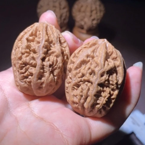 把件文玩核桃东北野生楸子小园 170