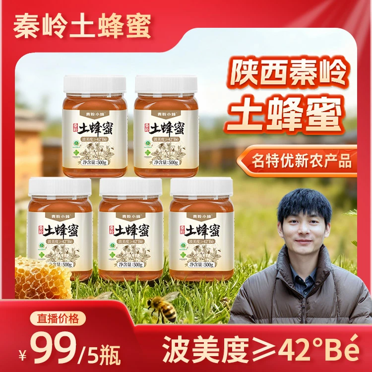 【乡农阿改专属】众天秦岭自家深山土蜂蜜百花蜜众天蜂蜜（5斤装）