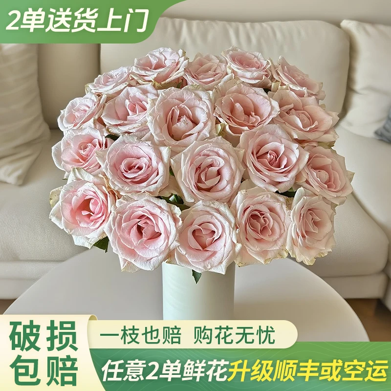 【大聪明卖花】粉爱神单头玫瑰-任意2单鲜花包邮 发货后不支持退款