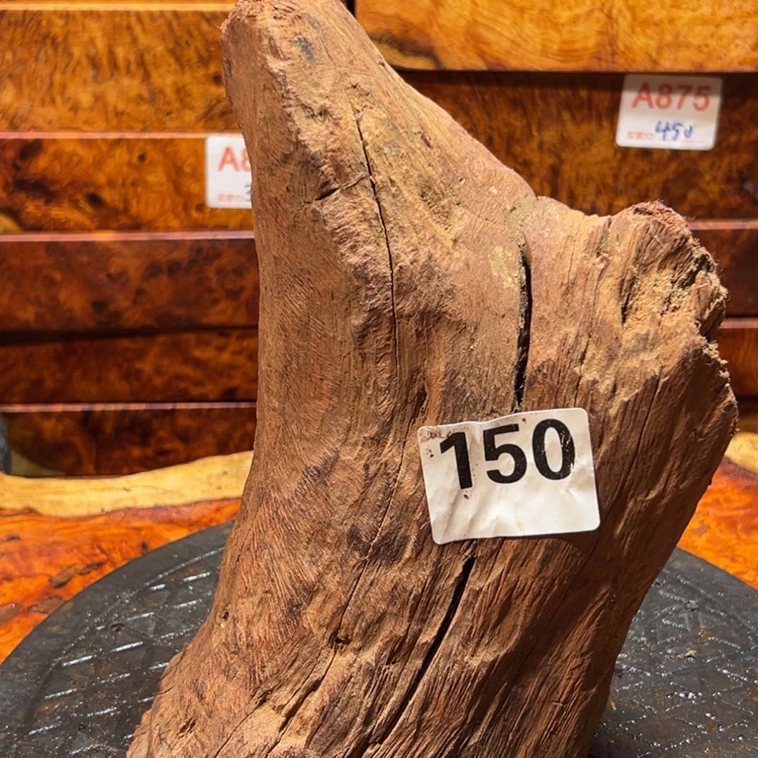 大果紫檀（缅甸花梨）