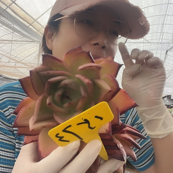 芳***芳1573 0000000000000000000