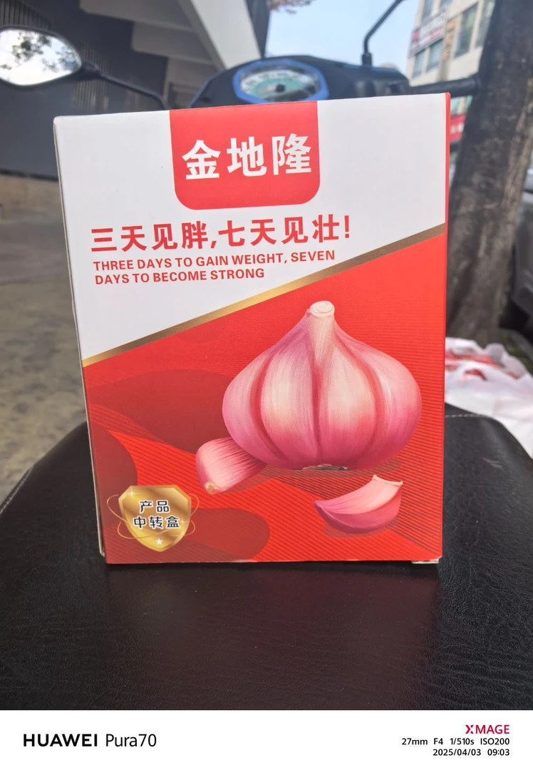 金地隆  大蒜 增产神器农业