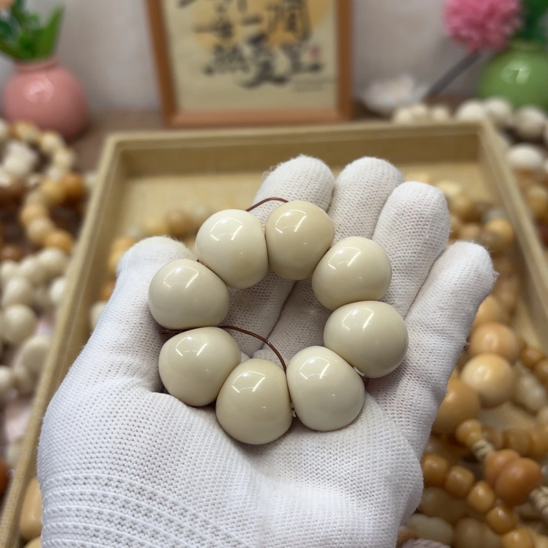 菩提根/象牙果吊坠20干磨微瑕牙果山竹637