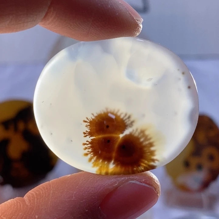 玛瑙/玉髓颈饰未镶嵌赏****?