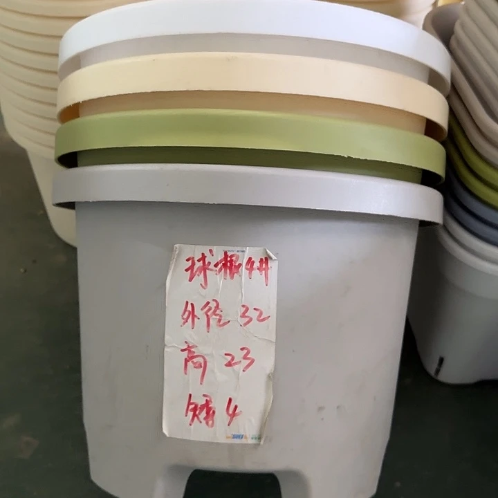 球根4#口径32无托果绿5个