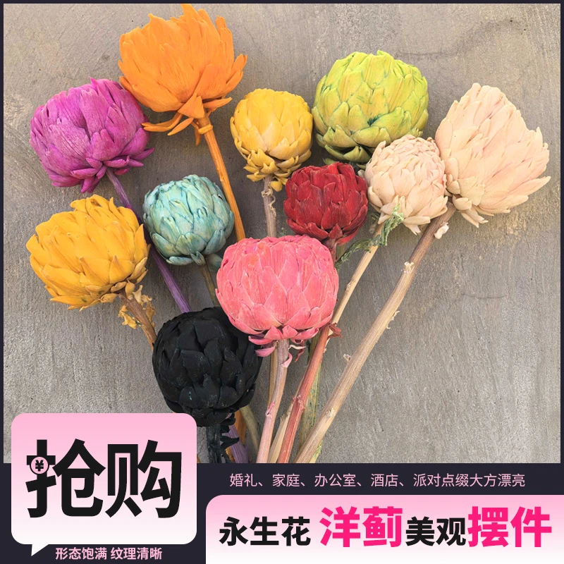 洋蓟永生花干花花束高级感真花客厅装饰花插花莫得里加洋蓟永生花