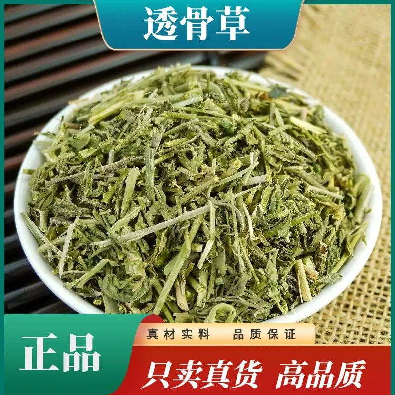 野生透骨草500g晒干透骨草珍珠透骨草250g正品益母草泡脚泡水原料