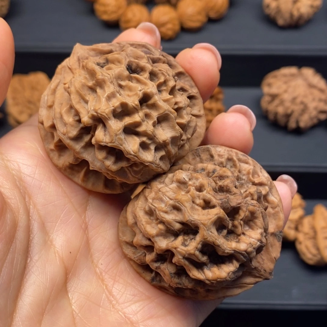 秦岭南侧和东北的山门是