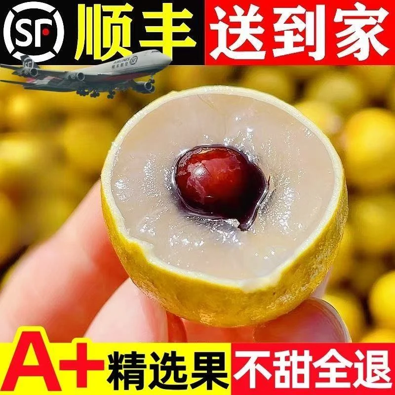 【顺丰包邮】现摘石硖龙眼新鲜当季水果清甜多汁肉厚饱满精品大果