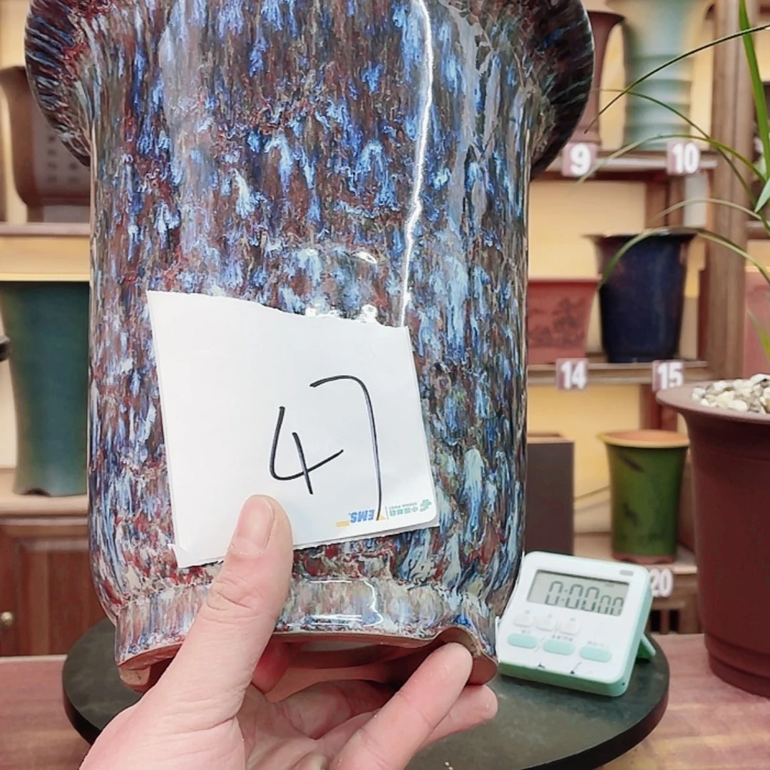 【闪购商品】紫砂花盆?****)兰花756588856698855558