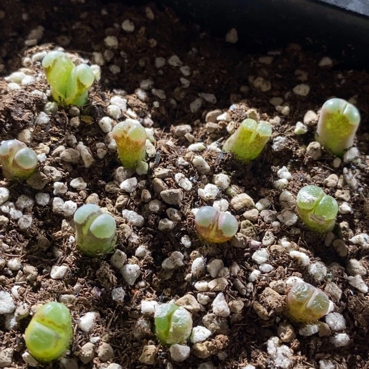 17280一组一组一组