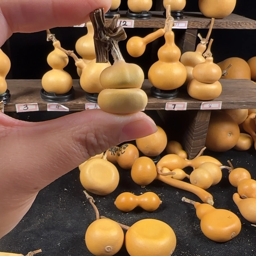 #***憨葫芦葫芦葫芦葫芦葫芦葫芦