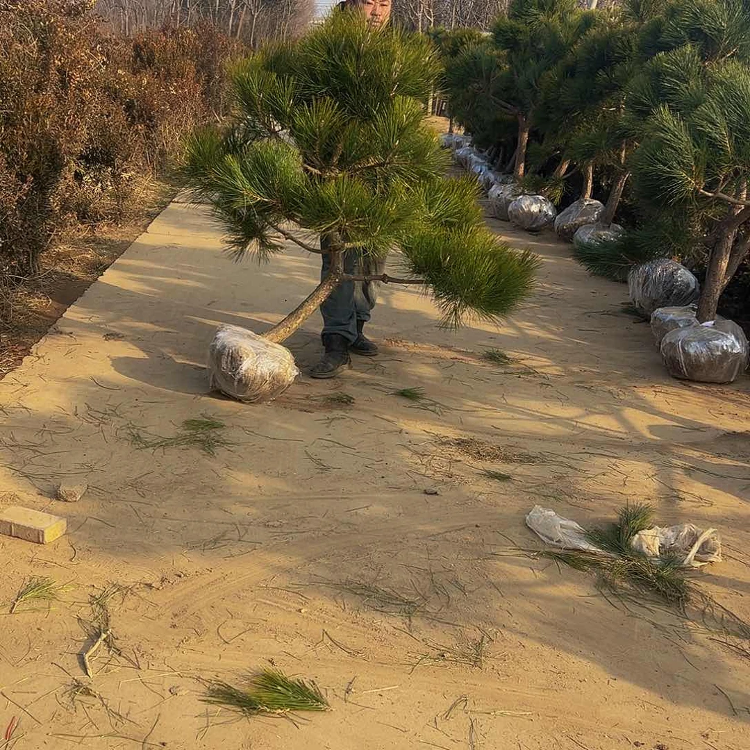 宁****重88888888888888