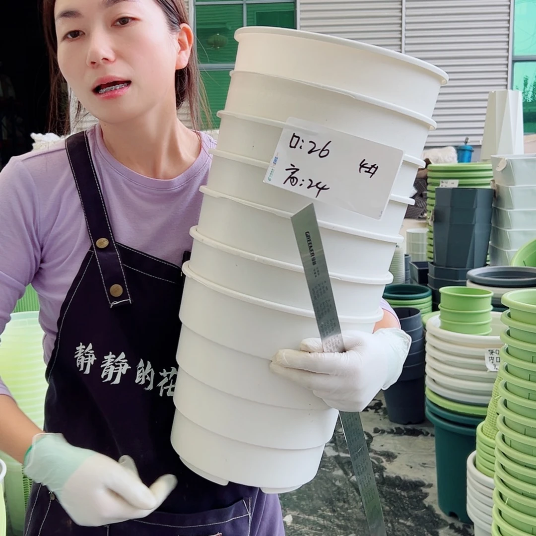 瑕疵多孔盆4#白色7个无托