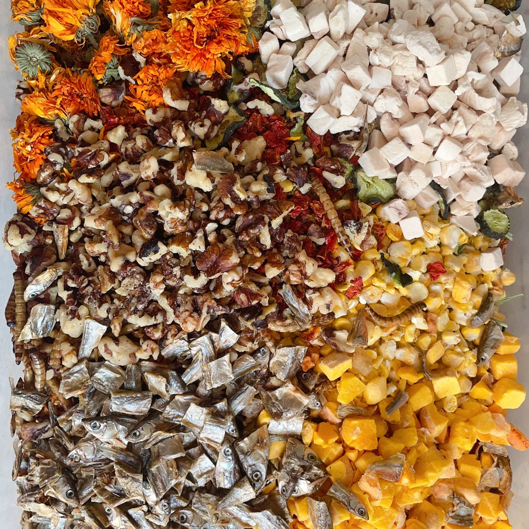 仓鼠金丝熊自配高端长肉粮