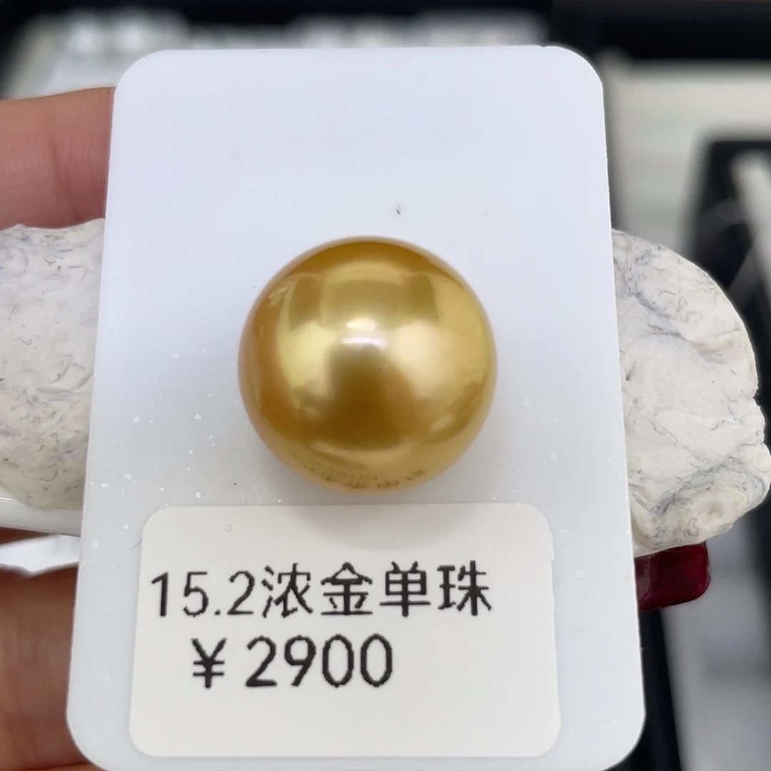 颈饰海水珍珠未镶嵌