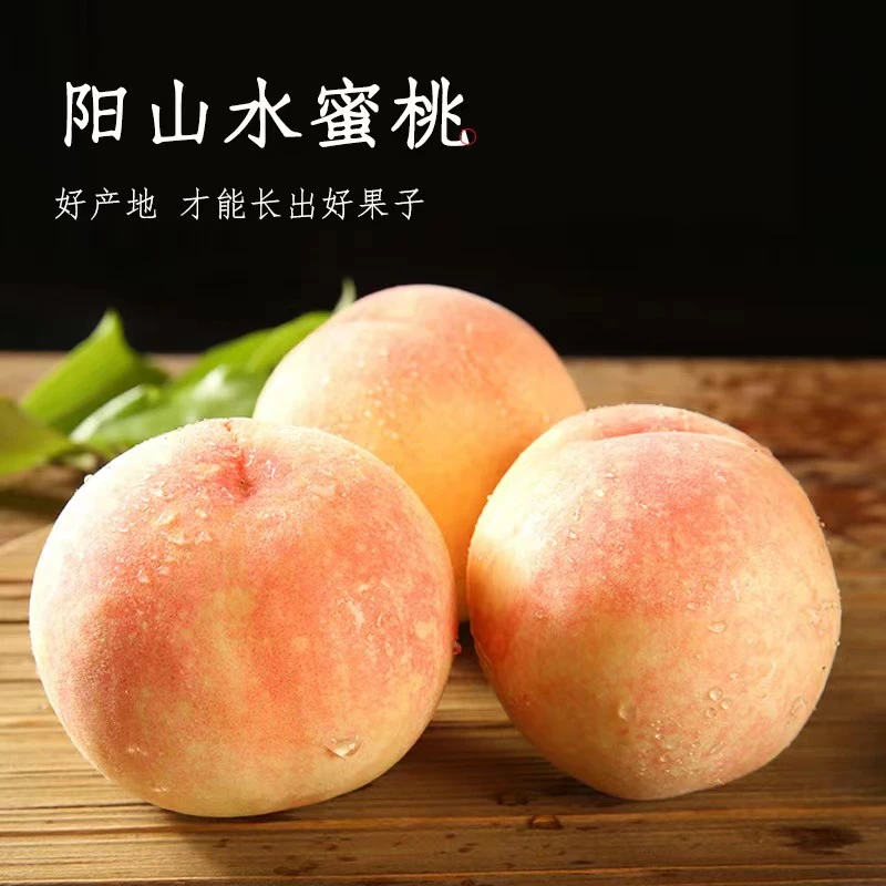 【TY】正宗无锡阳山水蜜桃 5-6两8只装送1箱3-4两8只装  礼盒装 顺丰次日达江苏省