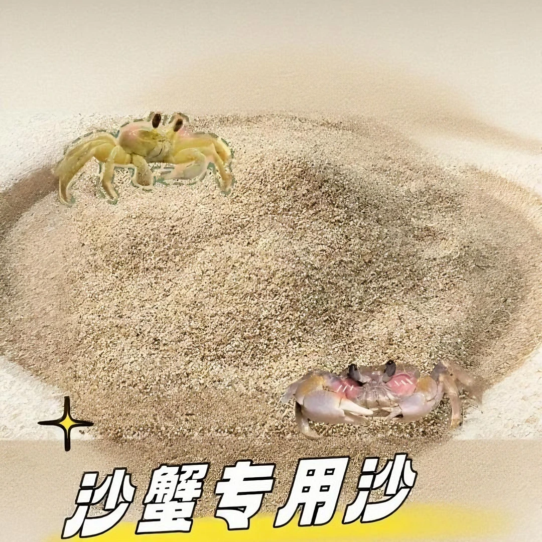 沙蟹寄居蟹专用天然免洗海沙