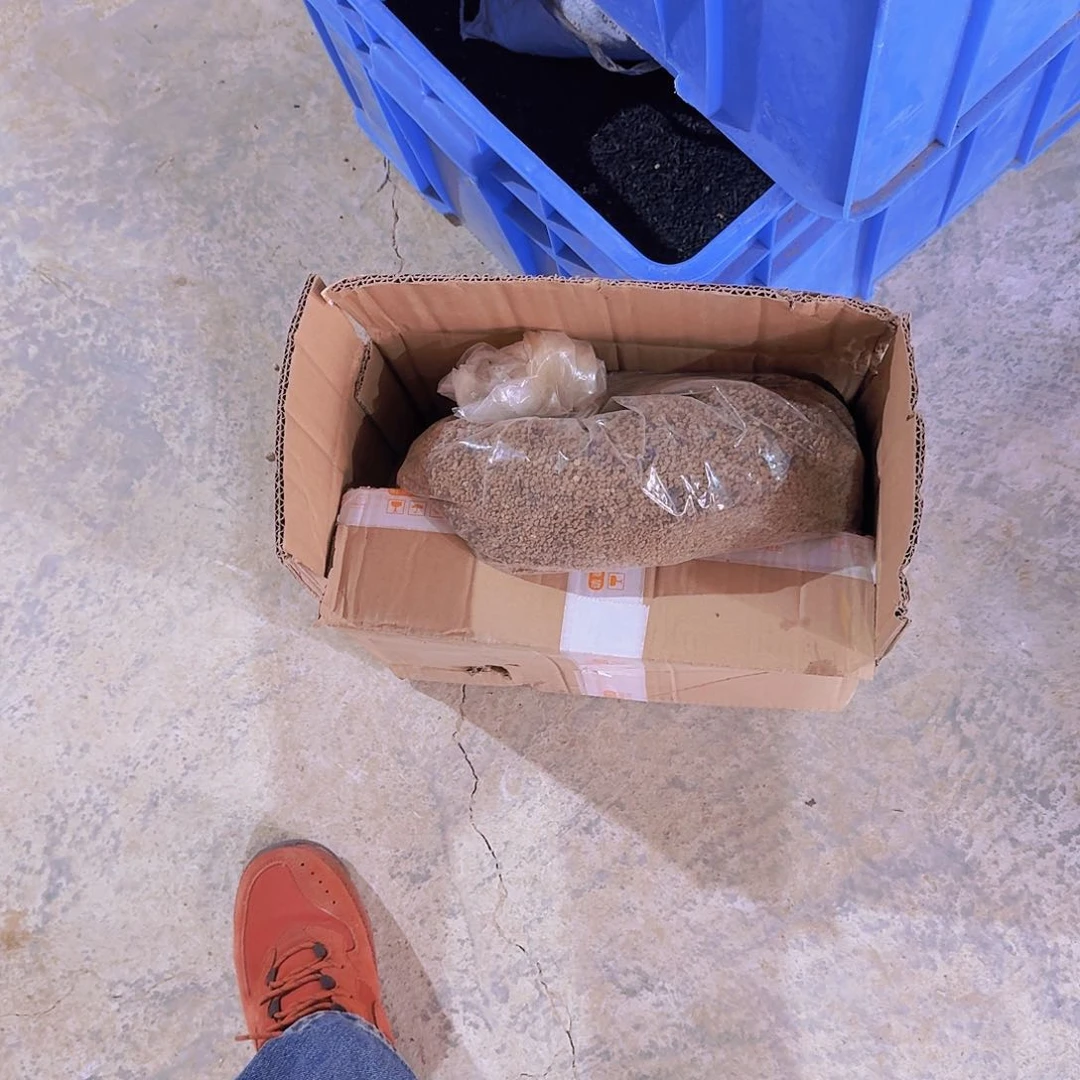 Y张春乐张春乐张春乐