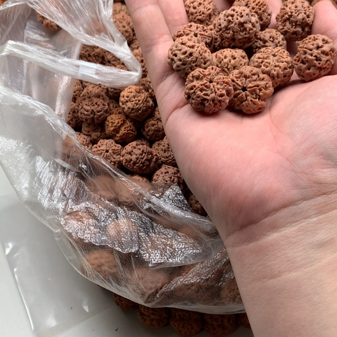 看***会手串金刚菩提21纽扣21颗