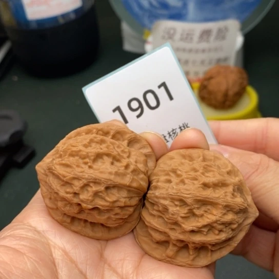 文玩核桃把件40公子帽1901