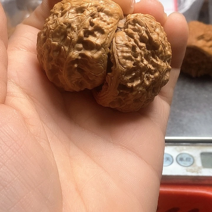 桃核把件文**才官帽蛇头