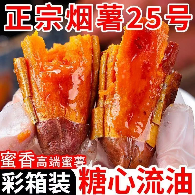 山东烟薯25号新鲜糖心蜜薯香甜软糯可蒸煮烤