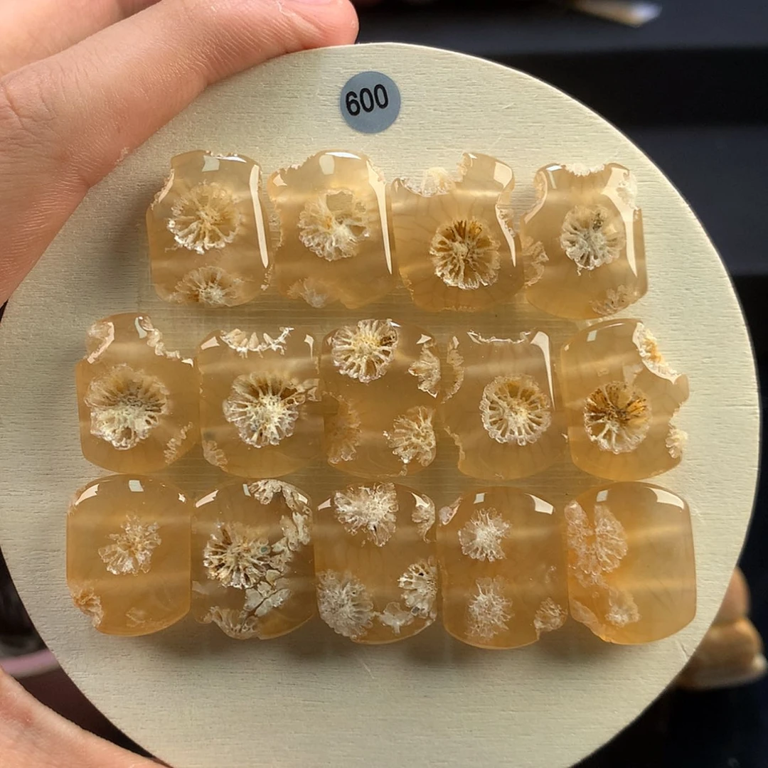 【闪购商品】硅化珊瑚（珊瑚玉）未镶嵌颈饰79号标本大花