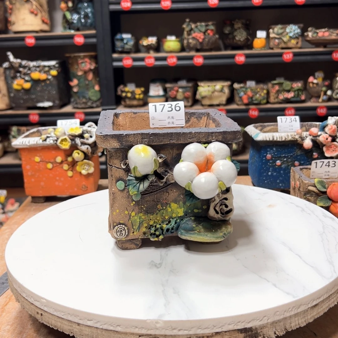 红陶1736口11高12