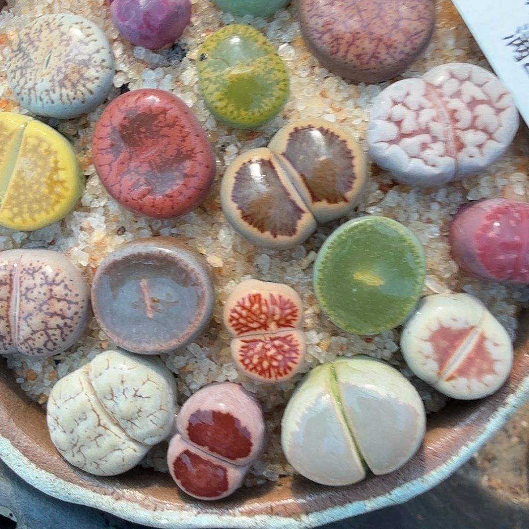 这个点睡起来都还困吗259是