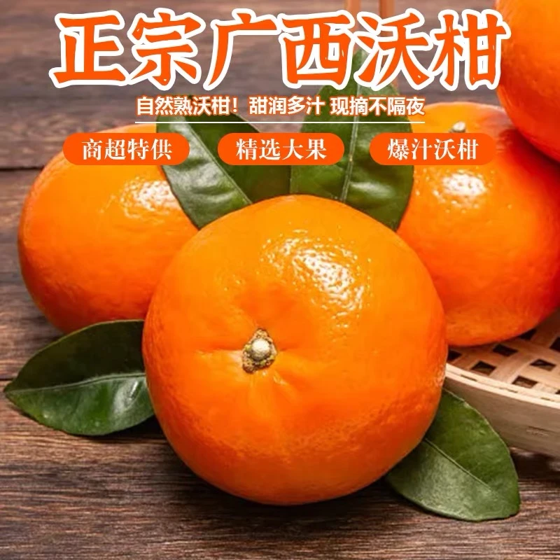 广西沃柑橘子大小统果当季新鲜水果现采现发爆汁清甜皮薄