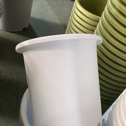 树脂四季8号纯白无托5个