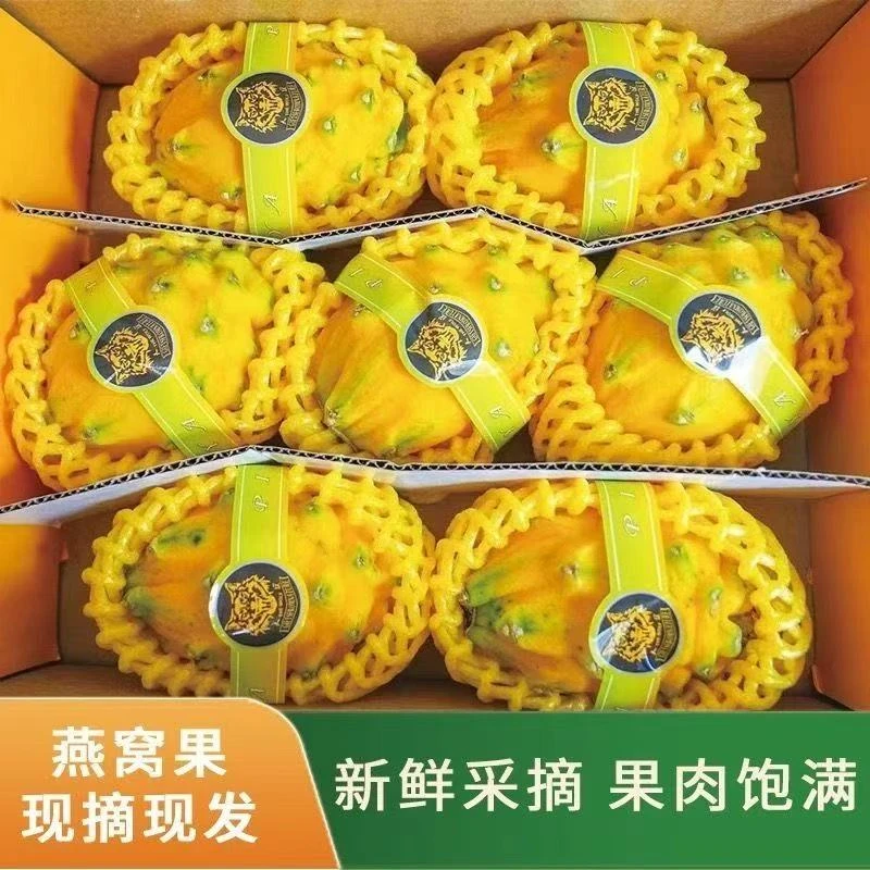 A【燕窝般滑嫩】正宗海南新鲜燕窝果6个装罕见稀有海南麒麟果黄金果