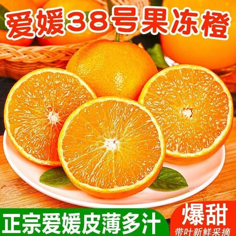四川爱媛38号果冻橙新鲜采摘应季水果皮薄肉嫩多汁