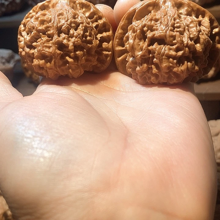 凡***子核桃那个温婉核桃全品官帽王永官帽