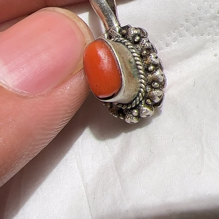 香榧木在家了一个小时